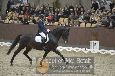 Dansk Rideforbunds Championats finaler 2018 dressur
Dansk Rideforbunds Championats finaler 2018
5 års præmie - 6års klassen
Nøgleord: hove's tatiana;line høst johansen