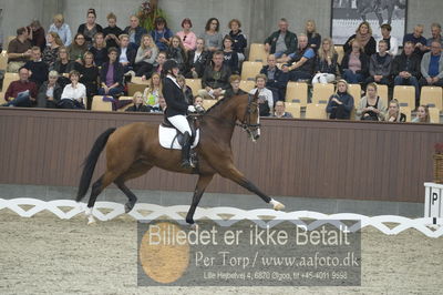 Dansk Rideforbunds Championats finaler 2018 dressur
Dansk Rideforbunds Championats finaler 2018
5 års præmie - 6års klassen
Nøgleord: zippo m i;michaela damm-frydenberg