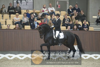 Dansk Rideforbunds Championats finaler 2018 dressur
Dansk Rideforbunds Championats finaler 2018
5 års præmie - 6års klassen
Nøgleord: andreas helgstrand;ferrari 134