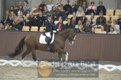 Dansk Rideforbunds Championats finaler 2018 dressur
Dansk Rideforbunds Championats finaler 2018
5 års præmie - 6års klassen
Nøgleord: emma ahlberg;vestervangs  garson