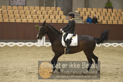 Blue Hors Para Dressur 2018
Billeder fra stævnet
Nøgleord: renee igelski;beyond dreams