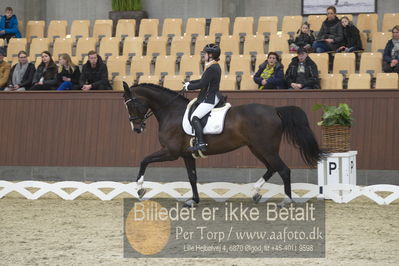 Blue Hors Para Dressur 2018
Billeder fra stævnet
Nøgleord: renee igelski;beyond dreams