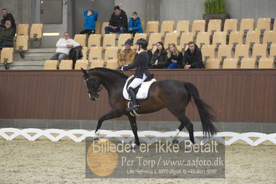 Blue Hors Para Dressur 2018
Billeder fra stævnet
Nøgleord: renee igelski;beyond dreams