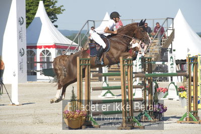 ridehesten csio3 140cm
Showjumping
Nøgleord: lars trier kjoeller;royal butterfly