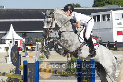 ridehesten csio3 140cm
Showjumping
Nøgleord: harry charles;siaco