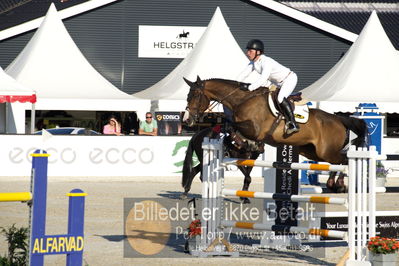 csio 3 big tour 145cm
Showjumping
Nøgleord: richard howley;cruising star