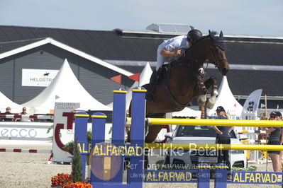 Csio3 two phsaes   140cm
Showjumping
Nøgleord: mathias nørheden johansen;coco pkz