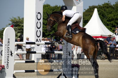 csio3 a1 150cm
Showjumping
Nøgleord: morgan bordat;umani