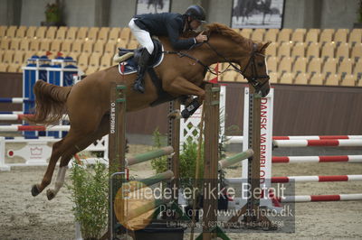 Dansk Rideforbunds Championats finaler 201
Dansk Rideforbunds Championats finaler 2018 - spring
Nøgleord: elmegårdens  dakota;torben frandsen