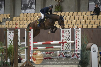 Dansk Rideforbunds Championats finaler 201
Dansk Rideforbunds Championats finaler 2018 - spring
Nøgleord: colin alfarvad z;christian petersen