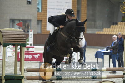 Dansk Rideforbunds Championats finaler 201
Dansk Rideforbunds Championats finaler 2018 - spring
Nøgleord: lancett ln;josephine bøgh